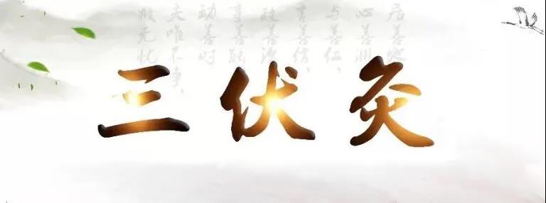 艾灸冬病夏治，春夏養(yǎng)陽(yáng)，三伏灸果真如此神奇？