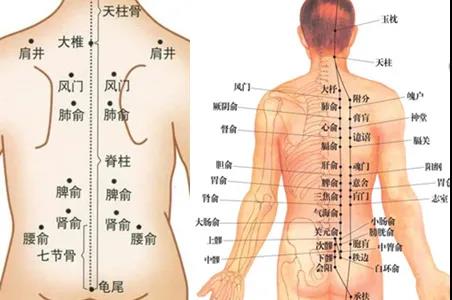 艾灸禁忌、艾灸注意事項(xiàng)