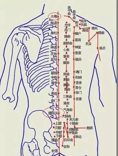 艾灸好這幾穴位一整年不發(fā)胖，艾灸減肥的穴位，快灸起來！