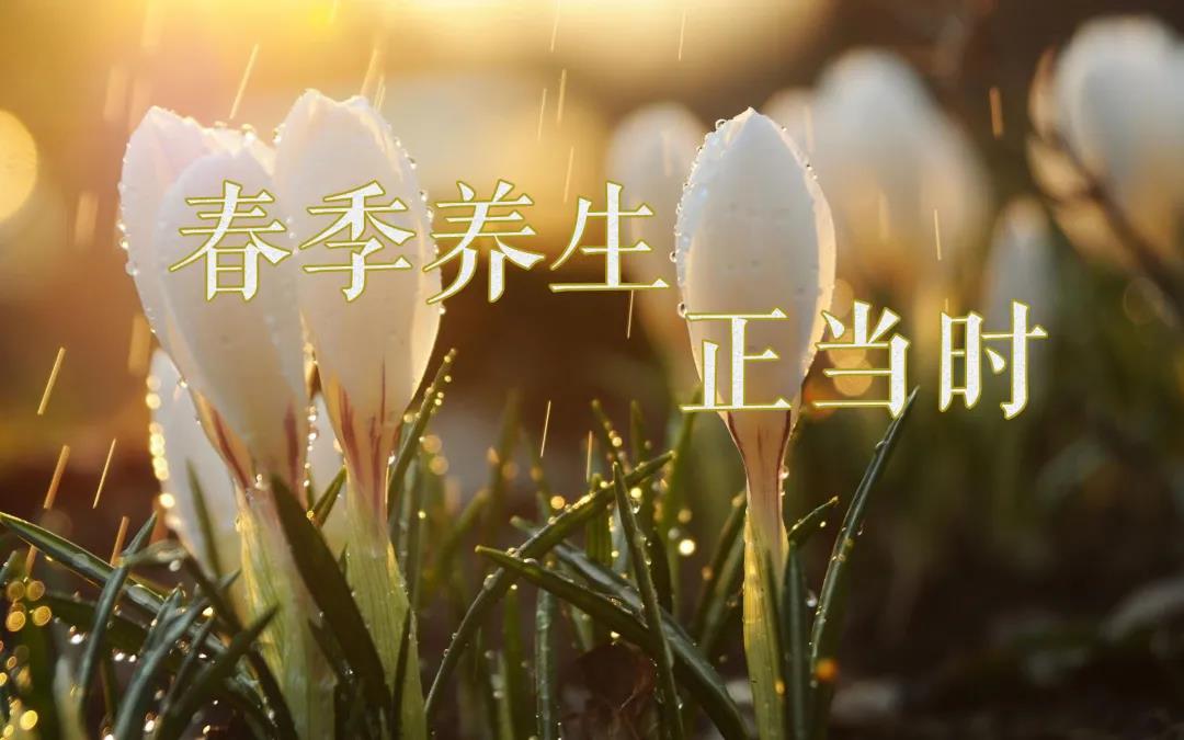 春天艾灸，陽上增陽，這些技巧別錯(cuò)過！
