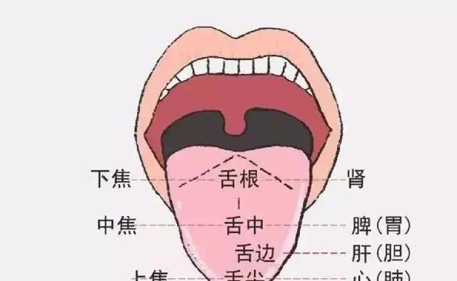 身體好不好，舌頭全知道