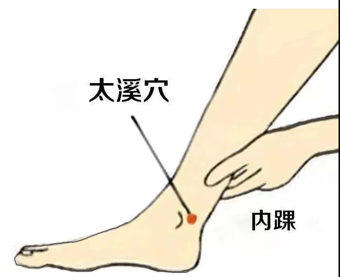 護腎養(yǎng)腎？這六大穴位就夠了！