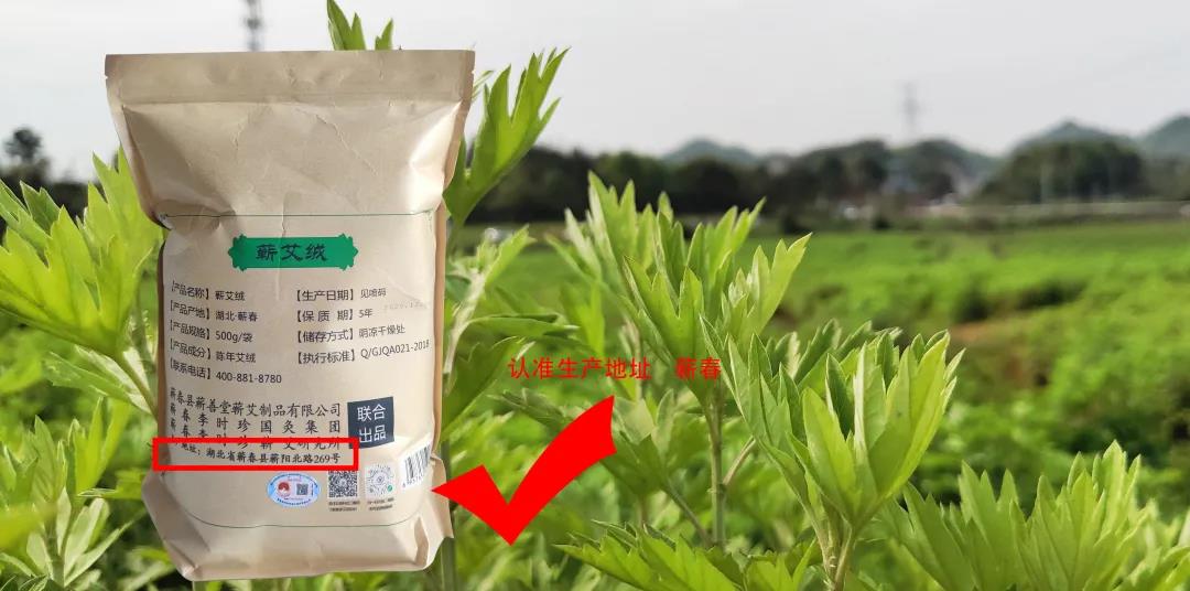 有“艾”相伴，補益陽氣行氣活血，淡淡艾香好助眠